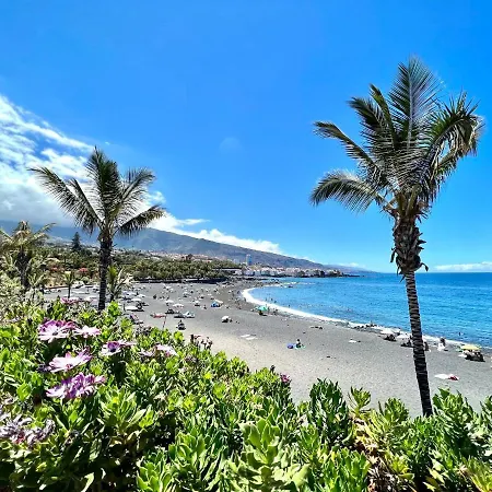 Studio With Balcony, Wifi And Rooftop Pool In Puerto De La Cruz *